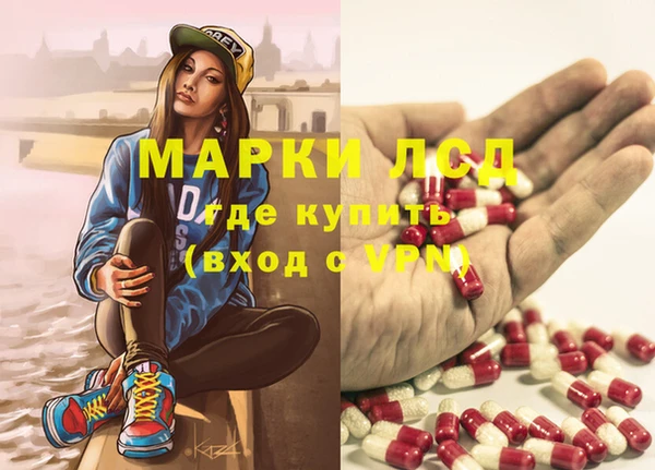 мет Алексин