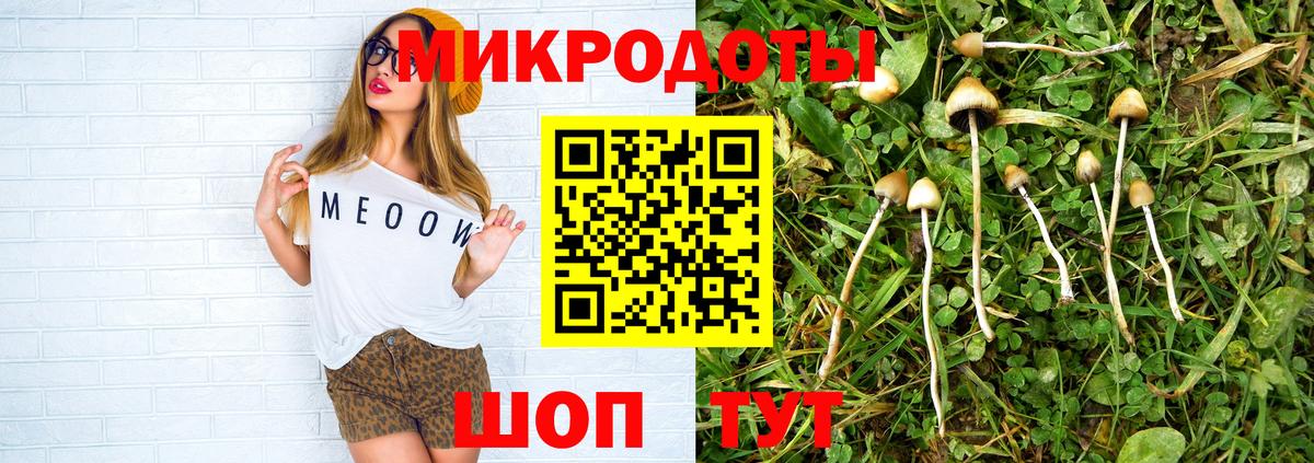 Галлюциногенные грибы MAGIC MUSHROOMS  Вход с VPN  Тула  Псилоцибиновые грибы мицелий 