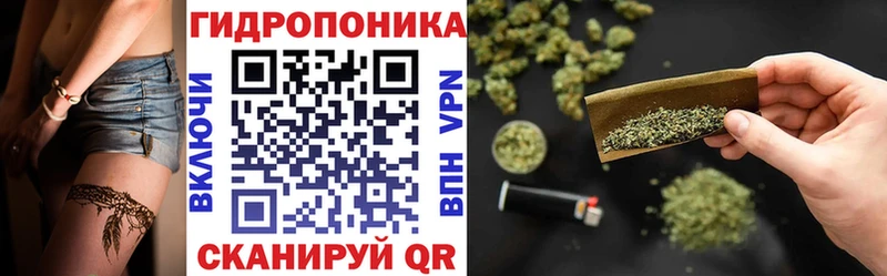 Канабис сатива  Тула 